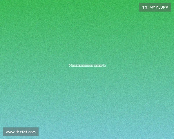 06款凯美瑞进口配件最多 价格最贵 如今残值不到5万